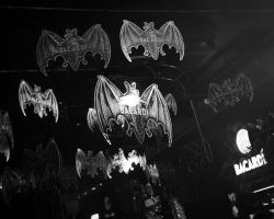 Sky-Plus-Afterparty-Venus-Club-2025-fotograaf-Jakob-Meier-84