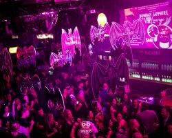 SPAP-21-11-2025-0659