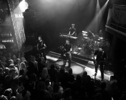 Tanel-Padar-live-Venus-Club-2025-foto-Jakob-Meier-101