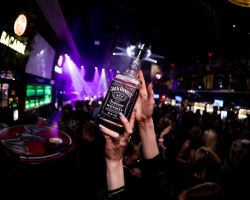 Venus-28-02-2026-1190