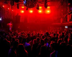 Venus-28-02-2026-2443