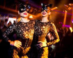 Traffic-28-03-2026-2747